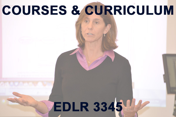 Dr. Laura Burton speaking.  Text reads: Courses & Curriculum EDLR 3345